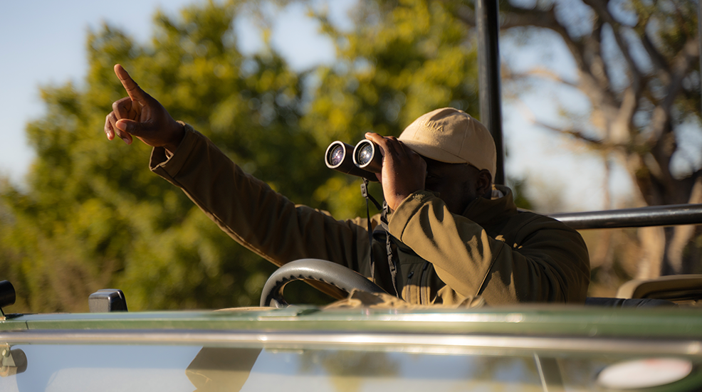 Safari guide with binoculars obscuring his face and pointing